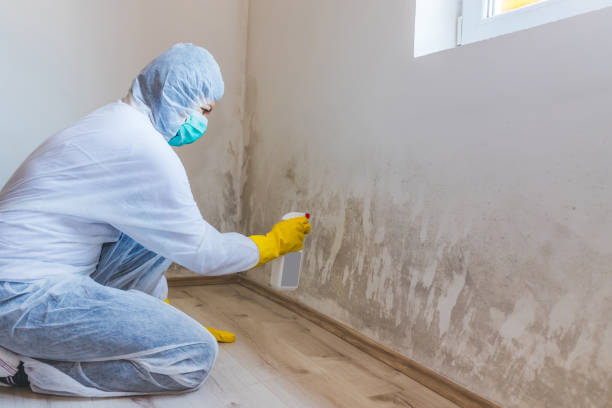 Licensed Mold Testing service in Medford, OR - WQB Mold Removal