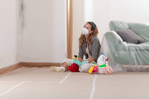 Reliable Mold Testing contractor in Medford, OR by WQB Mold Removal