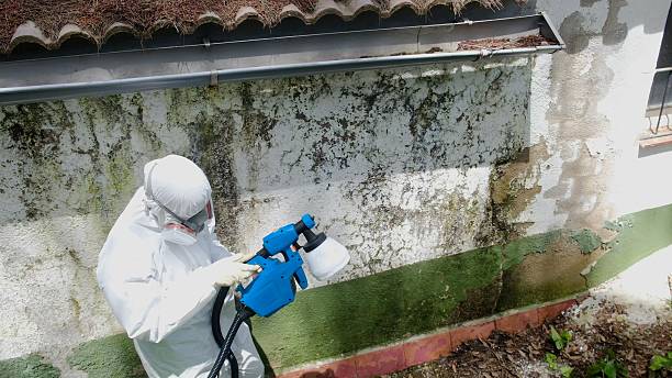 Top rated local Mold Testing specialists in Medford, OR